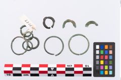 Foto von Bronzering (NHMW-PRAE-002313)